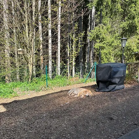 度假居 Mit Sauna Am Waldrand